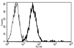 CD151 Mouse anti-Human, Clone: B-E31, Novus Biologicals 500 &mu;g; Unconjugated:Antibodies,